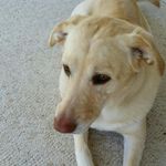 Mary Tweedy - @mary.tweedy.50 - Instagram