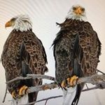 Mary Tweedy - @mary.tweedy - Instagram