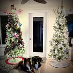 Mary Twining - @mtwining2 - Instagram