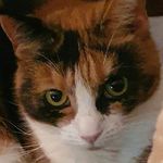 Mary Peter Twinney - @marytwinney4626 - Instagram
