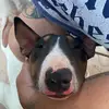tyrone_aka_mary - @tyrone_aka_mary - TikTok