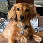 Mary Usrey - @mary_t_usrey - Instagram