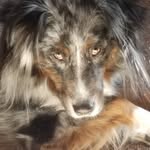 Mary Whalen Utter - @maryutter - Instagram