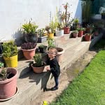 Mary Vaca - @vacamary - Instagram