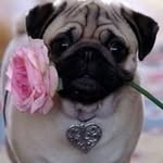 Mary Vaca - @maryvaca1 - Instagram