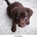 Mary Vallee - Facebook