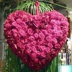 Mary Vallier - @mryvallier66 - Instagram