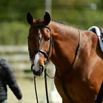 Mary vp - @mary_vanpelt_eq - Instagram