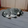 MaryVan - @maryvan2203 - TikTok