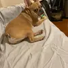 maryvann655 - @maryvann655 - TikTok