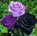 Mary Vanderpool - Facebook
