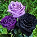 Mary Vanderpool - @mary_vanderpool - Instagram