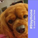 Mary Vanderwal - @merryanne2009 - Instagram