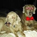 Mary Van Etten - @garyandmaryv - Instagram