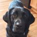 Mary Lou VanPelt Pitsch - Facebook