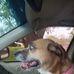 Mary Vantuyl - Facebook