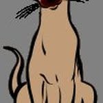 Mary Van Winkle - @maryvanwinkle61 - Instagram