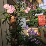 Mary Varkey - @varkey771 - Instagram