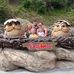 Mary Varone - Facebook