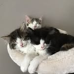 Marc Vasbinder - @vasbindermarc - Instagram