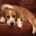 Mary Veit Zeck - Facebook