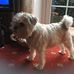 Mary Venables - Facebook