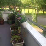 Mary Verdon - @mary.verdon.3 - Instagram
