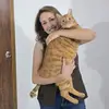 Mary Vergara - @maryvergaraa - TikTok