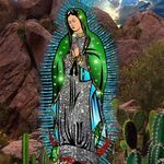 mary verne - @jbedonromucho - Instagram