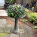 Mary Versteeg - Facebook