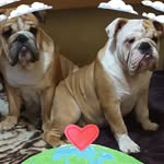 Mary Nieto Vertiz - @marynietovertiz - Instagram