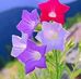 Mary Vicente - Facebook