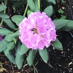 Μαρία Βλαχοπούλου - @maryvlachopoulou83 - Instagram