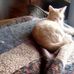 Mary Folkman - Facebook