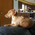 Mary Lou Volkman - Facebook