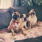 Mary Wachtel - @mary.wachtel - Instagram