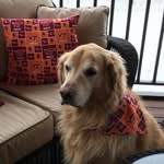 Mary Wacker - @wacker.mary - Instagram