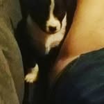 mary wackwitz - @marywackwitz - Instagram