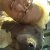 Mary Waldo687 - @marywaldo3 - TikTok