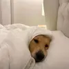 mary wallen - @mary.wallen42 - TikTok