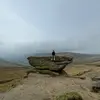 Will Roberts - @mary.wallen - TikTok