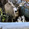 marywallach - @mary.wallach - TikTok