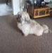 Mary Walters - Facebook