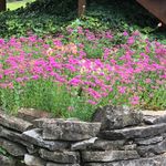 Mary Ann Weakland - @mary_ann_weakland - Instagram