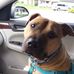 Mary Meilinger Weigle - Facebook