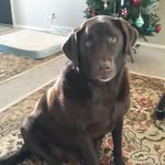 Mary Lux Weiher - @marylweiher - Instagram