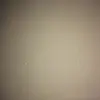Mary Wenzell  - @marywenzell - TikTok