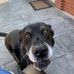 Mary Westermayer - Facebook