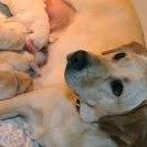 Mary Westhoff - Facebook