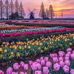 Mary Westra Davidson - @marydavidsonrdh - Instagram